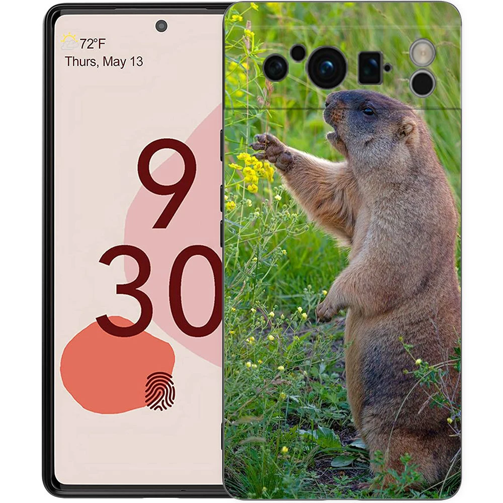 marmot Phone Case For Google Pixel 9 8 7 6 Pro XL 8A 6A 7A 5G Soft Shockproof TPU Black Cover Fundas