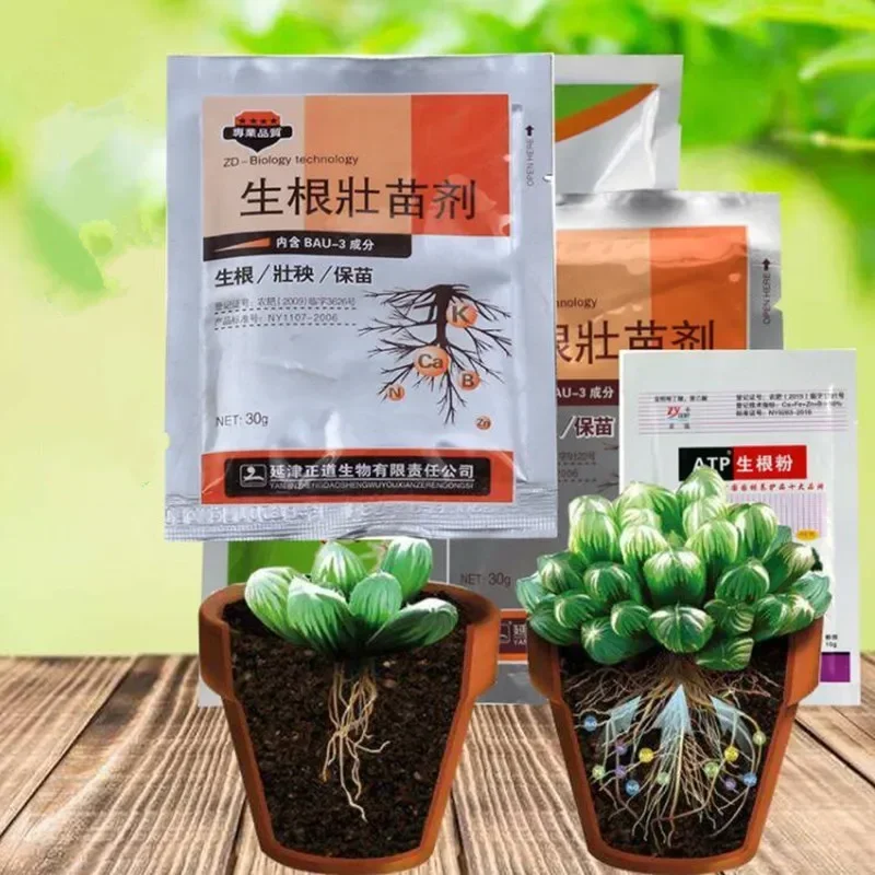 Cytokinin Гормоны для растений, улучшения овощей, цветов, фруктов, деревьев, лучший продукт, задержка листьев, спасения, садовые аксессуары Cytokinin Гормоны для растений, улучшения овощей, цветов, фруктов, деревьев, лучший продукт, задержка листьев, спасения, садовые аксессуары