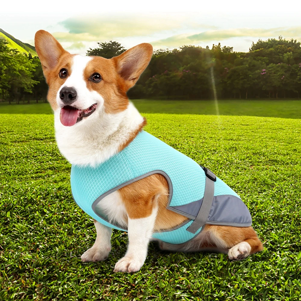 Pet Vest Summer Ice Cooling Dog Vests Mesh Clothes for Small Medium Large Dogs Outdoor Pet Cool Down Jackets S-XL