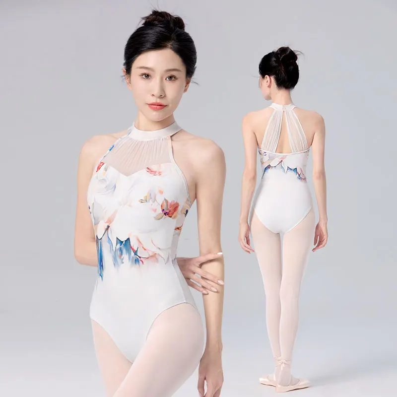 Woman Ballet Leotards Oil Painting Dance Leotard Adult Mesh Splice Sleeveless Stand Collar Gymnastic Leotard Ballet Bodysuit