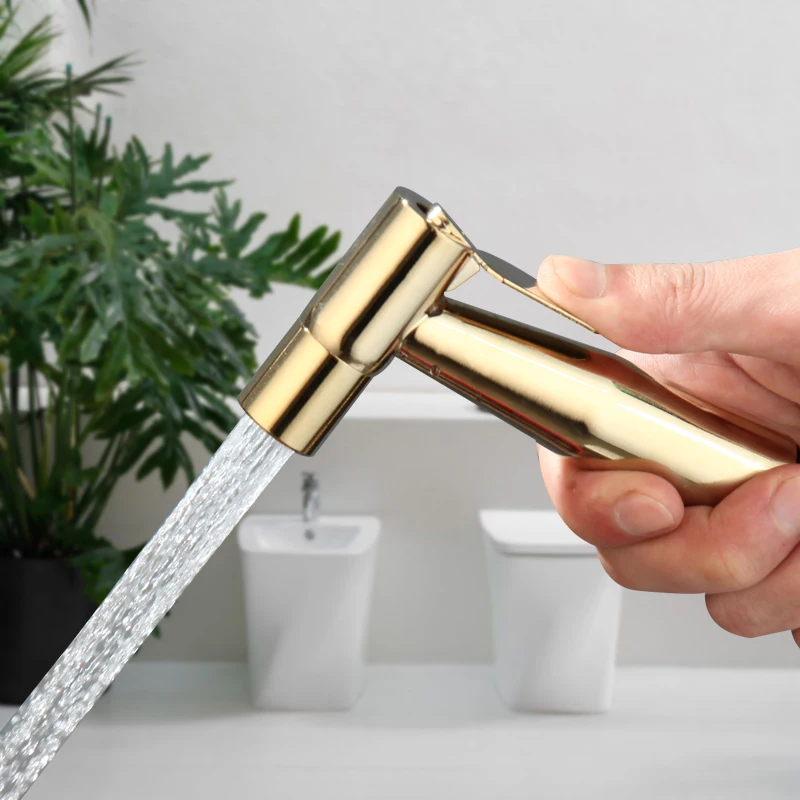 Monite Bathroom Handheld Bidet Spraye Faucet Set Dual Handle Golden Wall Mounted Toilet Self Cleaning Shower Head Tap