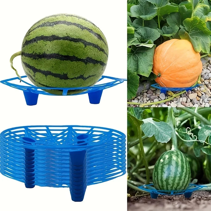 

10pcs Blue Fruit Trays, Anti-Rot Watermelon Stand, Durable Melon Pumpkin Holder, Garden Farm Display (Circular)