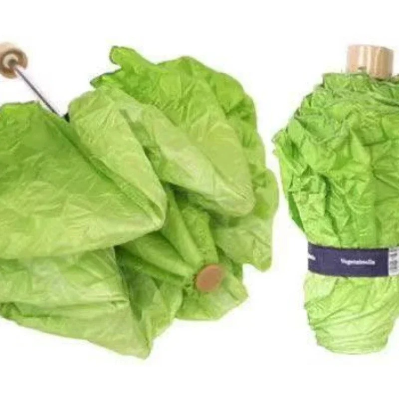 

Unique lettuce umbrella highlights in rainy days fashion personality interesting and practical different.