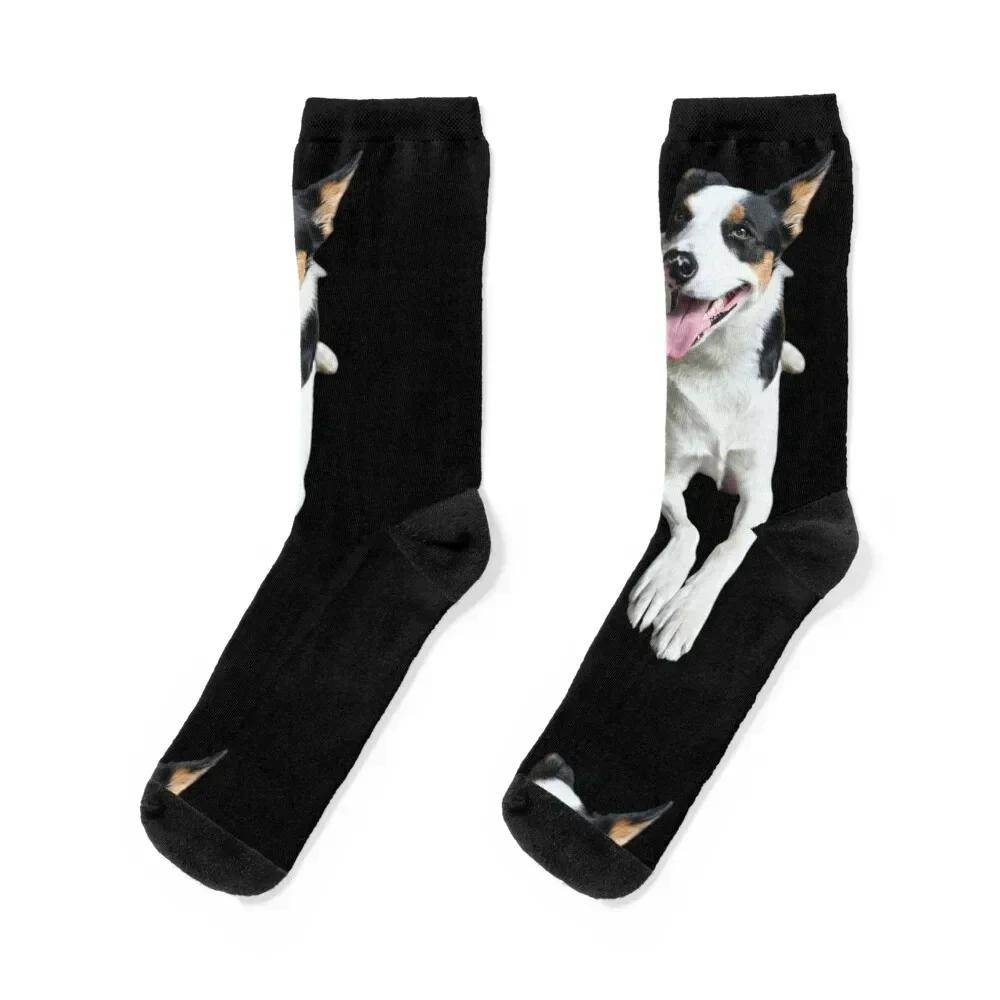 Vinnie One Super Model Socks shoes designer Climbing funny gifts Women's Socks Men's