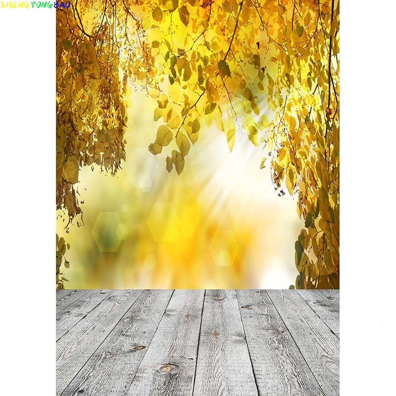 Vinyl Custom Spring Forest Wooden Floor Photography Backgrounds Sky Sea Natural Scenery Photo Backdrops Studio 210309TFX-05