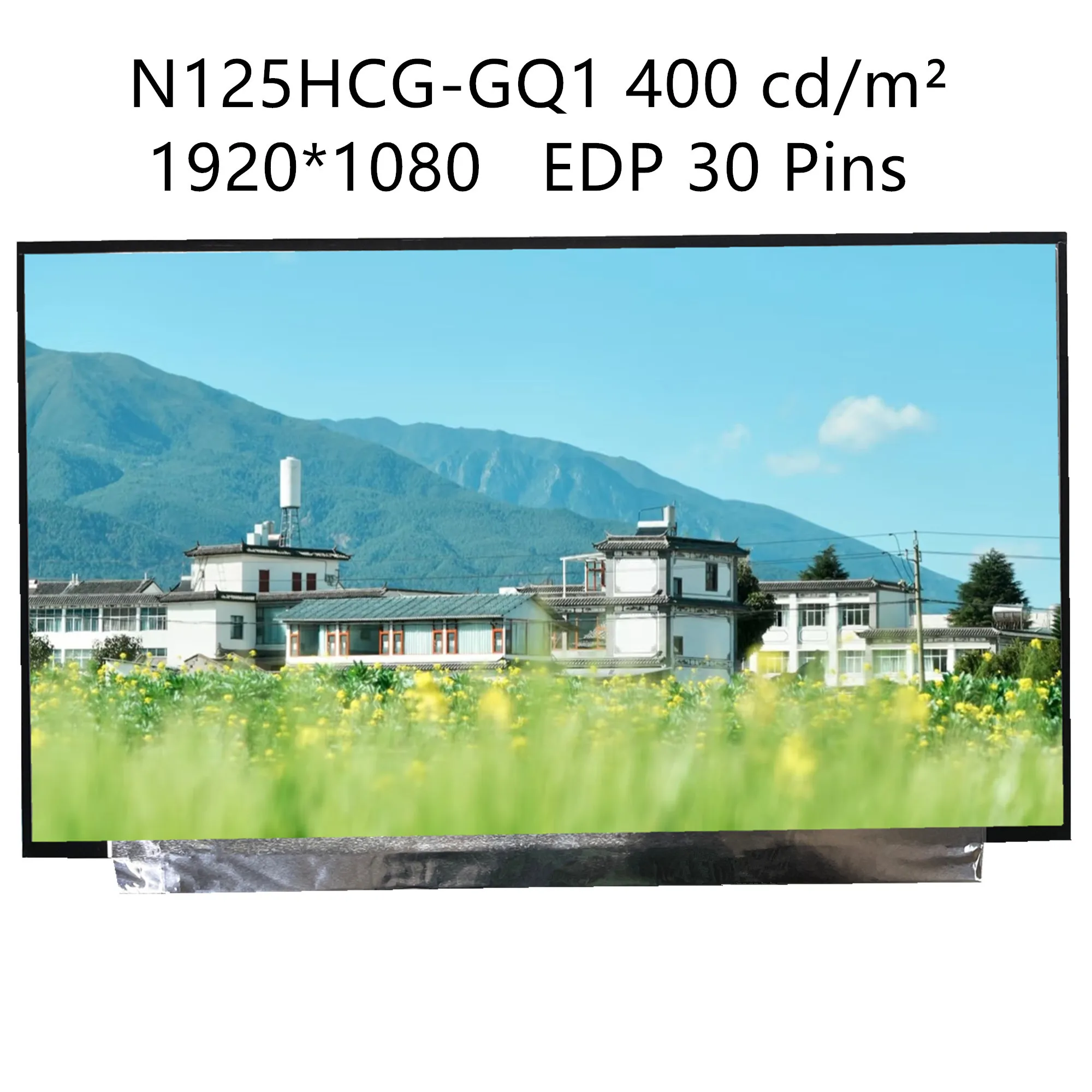 N125HCG-GQ1 Rev.C2 12.5\'\' Laptop LCD Screen Display Panel Matrix 1920*1080 EDP 30 Pins 400 cd/m²