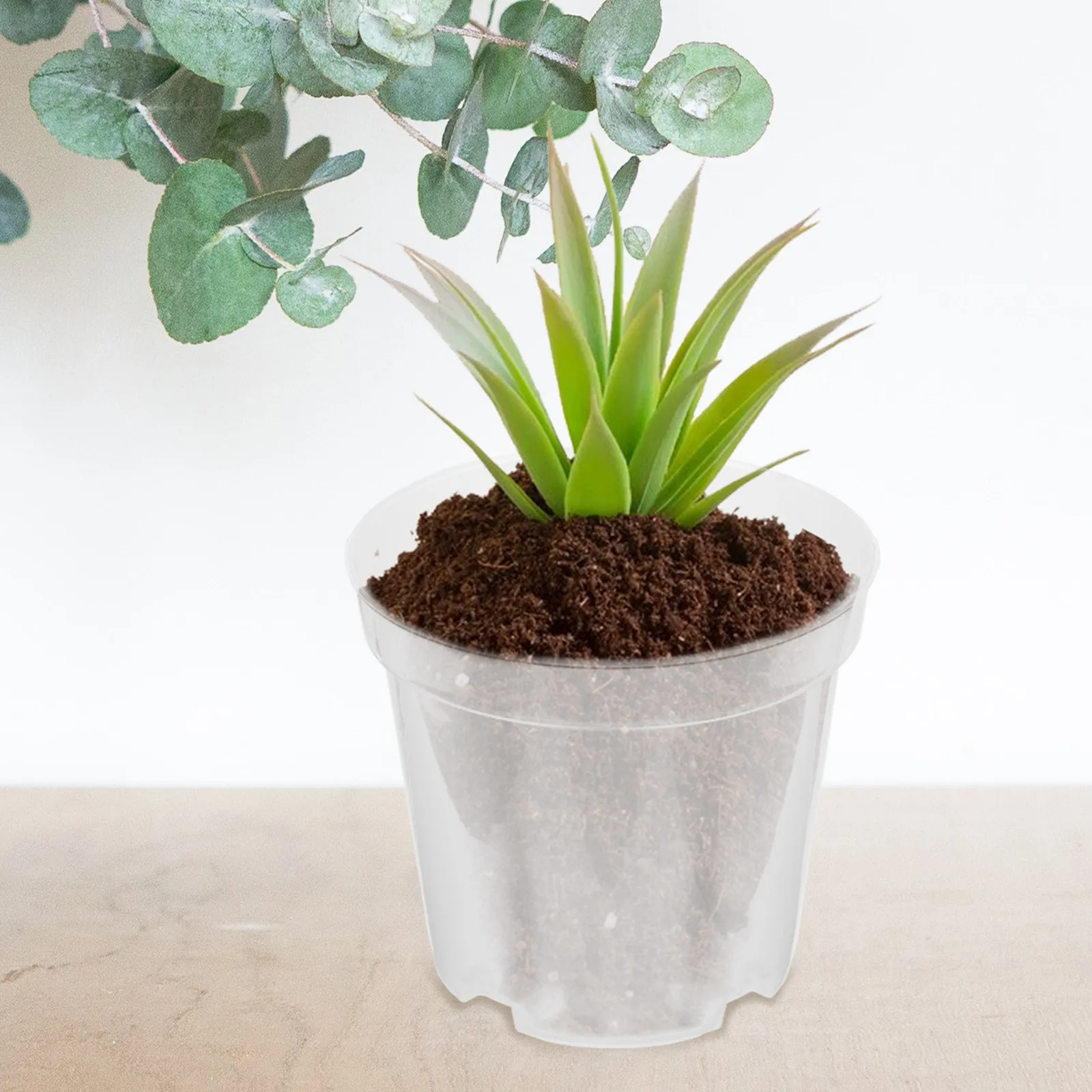 30Pcs Premium Clear Plastic Plant Pots Transparent Nursery Containers for Small Plants Flowers Herbs Indoor Balcony Garden Use