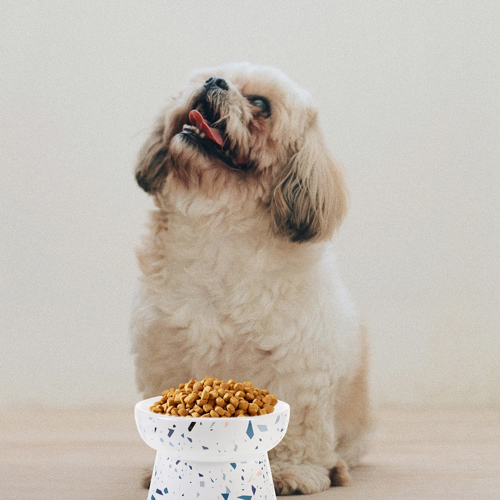

Raised Cat Food Bowl High Foot Ceramic Elevated Pet Feeding Bowl Neck Protection Large Capacity Cat Water Food Bowls Ergonomic