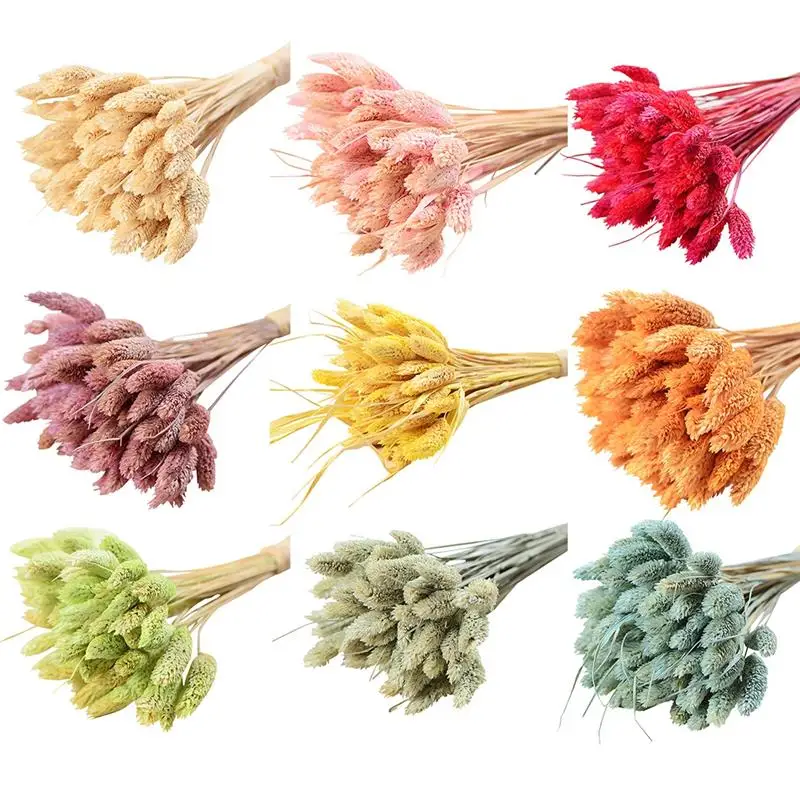 24Pcs Dry Flower Branch DIY Simple Natural Dried Grass Stem Dry Grass Decoration Bunny Tails Dried Flowers Bouquets Plant Stems