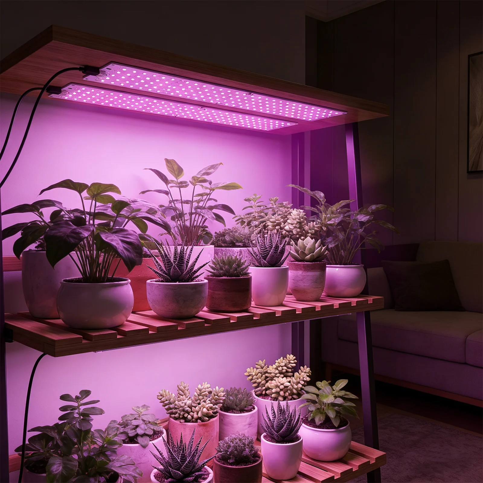 Grow Lights For See…