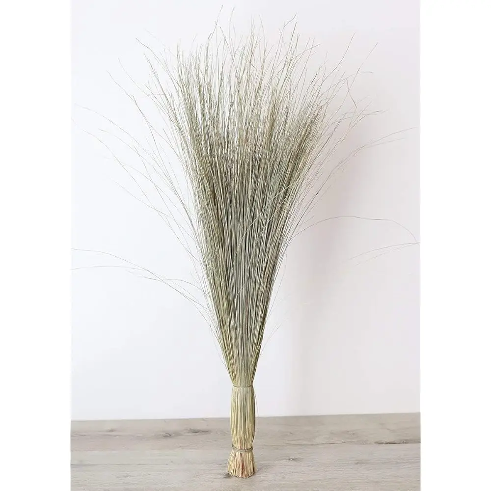 

Preserved Green Dune Grass