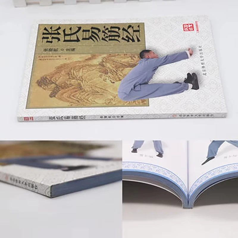 Zhang Shi Yi Jing Jin Shaolin Martial Arts Wushu Fitness Books In Chinese Libros Livros