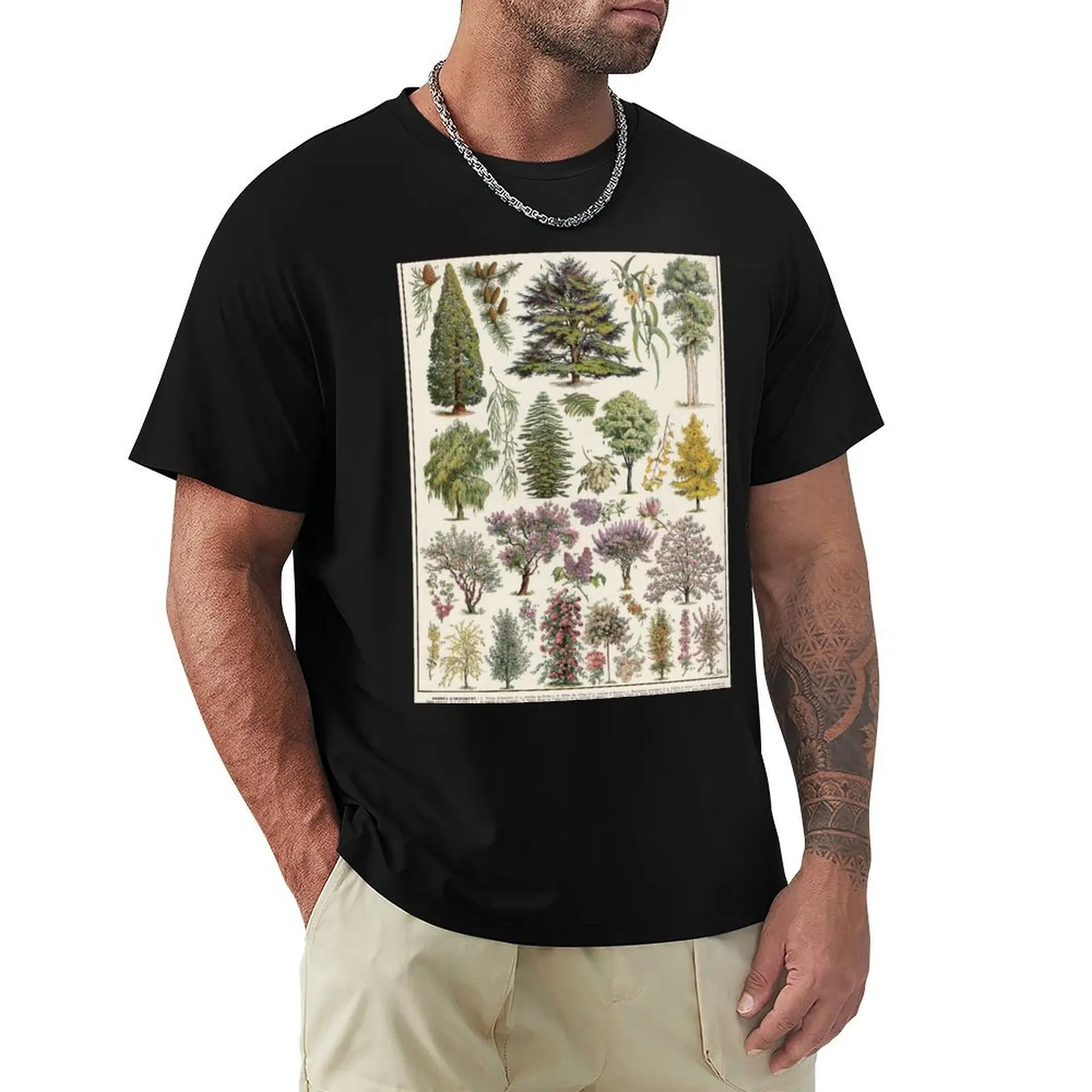 Jardins (Arbres D'Ornement) 1 Vintage French Illustration - Ornamental Trees by Millot T-Shirt t shirt man cotton T-Shirt