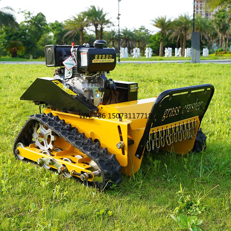 Cheapest Robot Hammer Blades Flail Mower 55Cm Cutting Width Home Farm Use Gas Grass Cutter Remote Control Lawn Mower