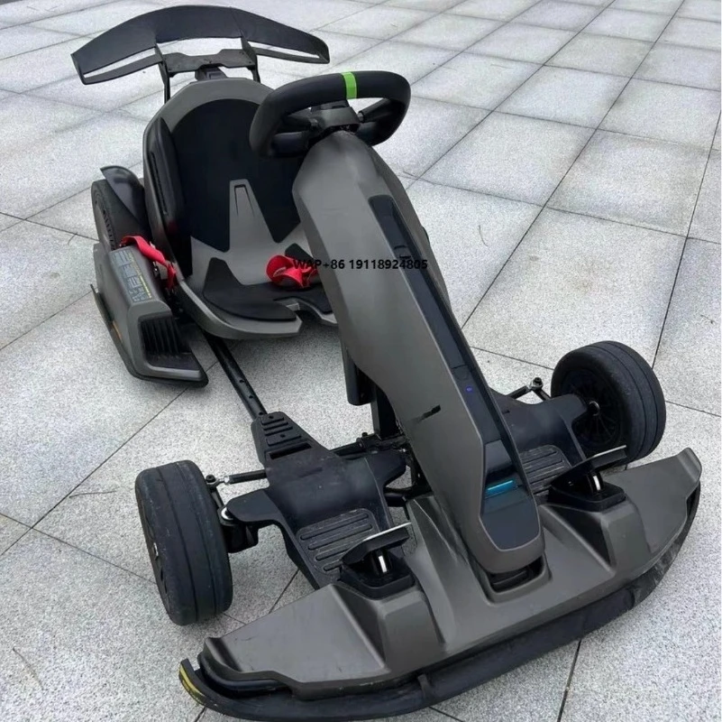 2025 Made in China Go Karts with 4 Gears 43Km/h Max Speed for Kids Adults New Go Kart Pro 2 Electric Racing Manumatic