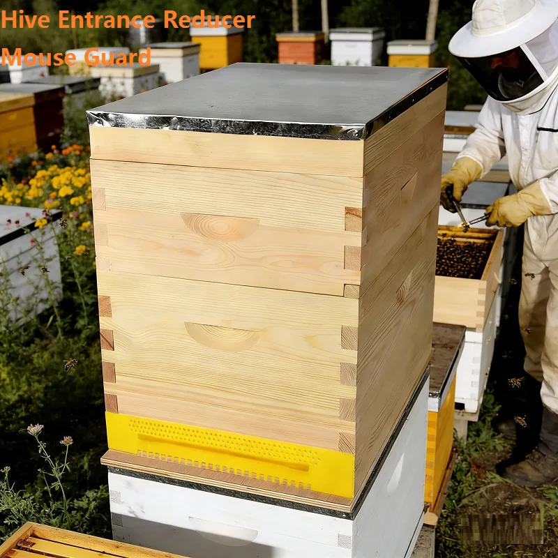 

Beehive Door Beehive Box Door Anti-Escape Hive Gate Sheet Nest Spacer Bee Hive Entrance Reducer Bee Box Entrance Beekeeping Tool