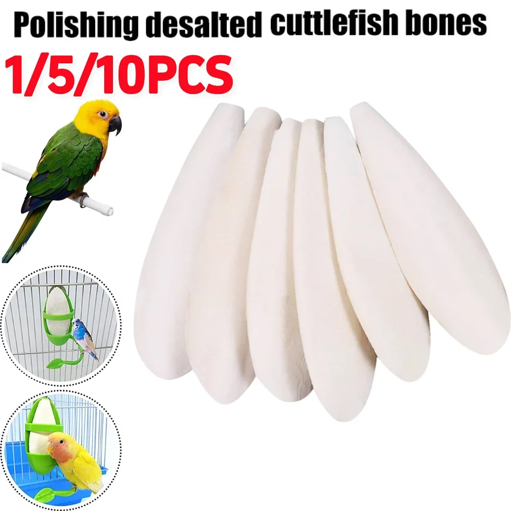 Natürlicher Tintenfischknochen für Vögel, scharfe Schnabelknochen, Tintenfischknochen-Spielzeug, Kauspielzeug für Reptilien, Schnecken, Schildkröten
