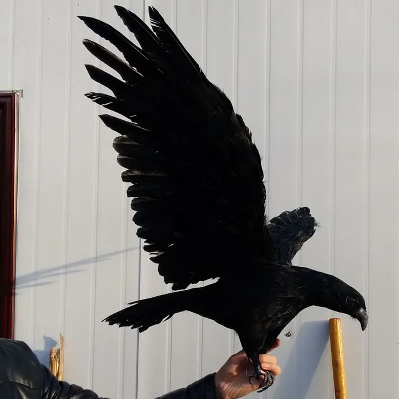 new wings black eagle model foam&feather real life eagle bird gift about 45x90cm d0121