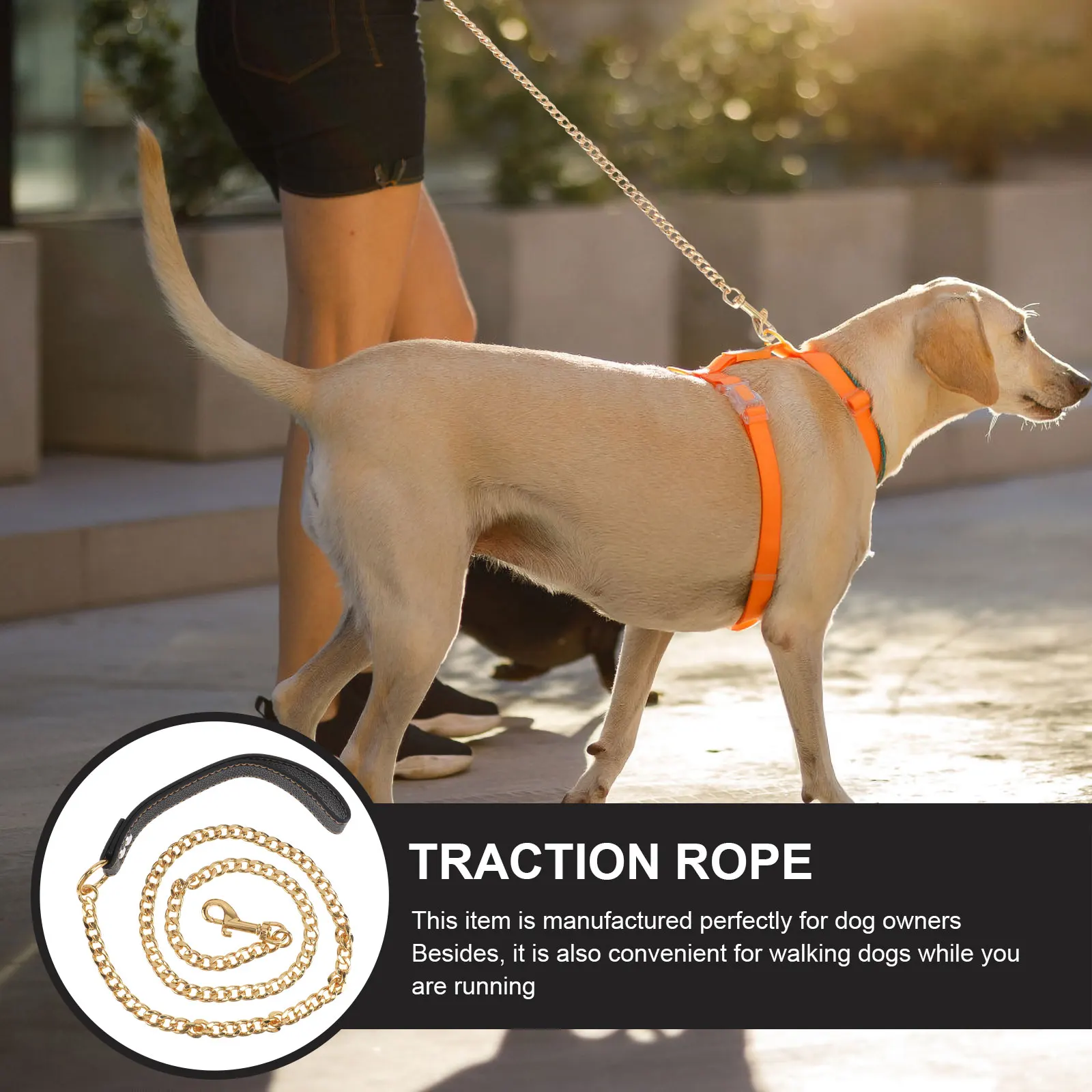 

Stainless Steel Dog Leash Durable Pet Hauling Cable Buckle Gold Small Medium Dog Tangle Free Comfortable Premium Material