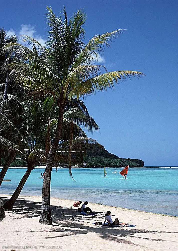 

20 штук/упаковка гавайских монет. Бесплатная доставка. Подарки для вечеринок.