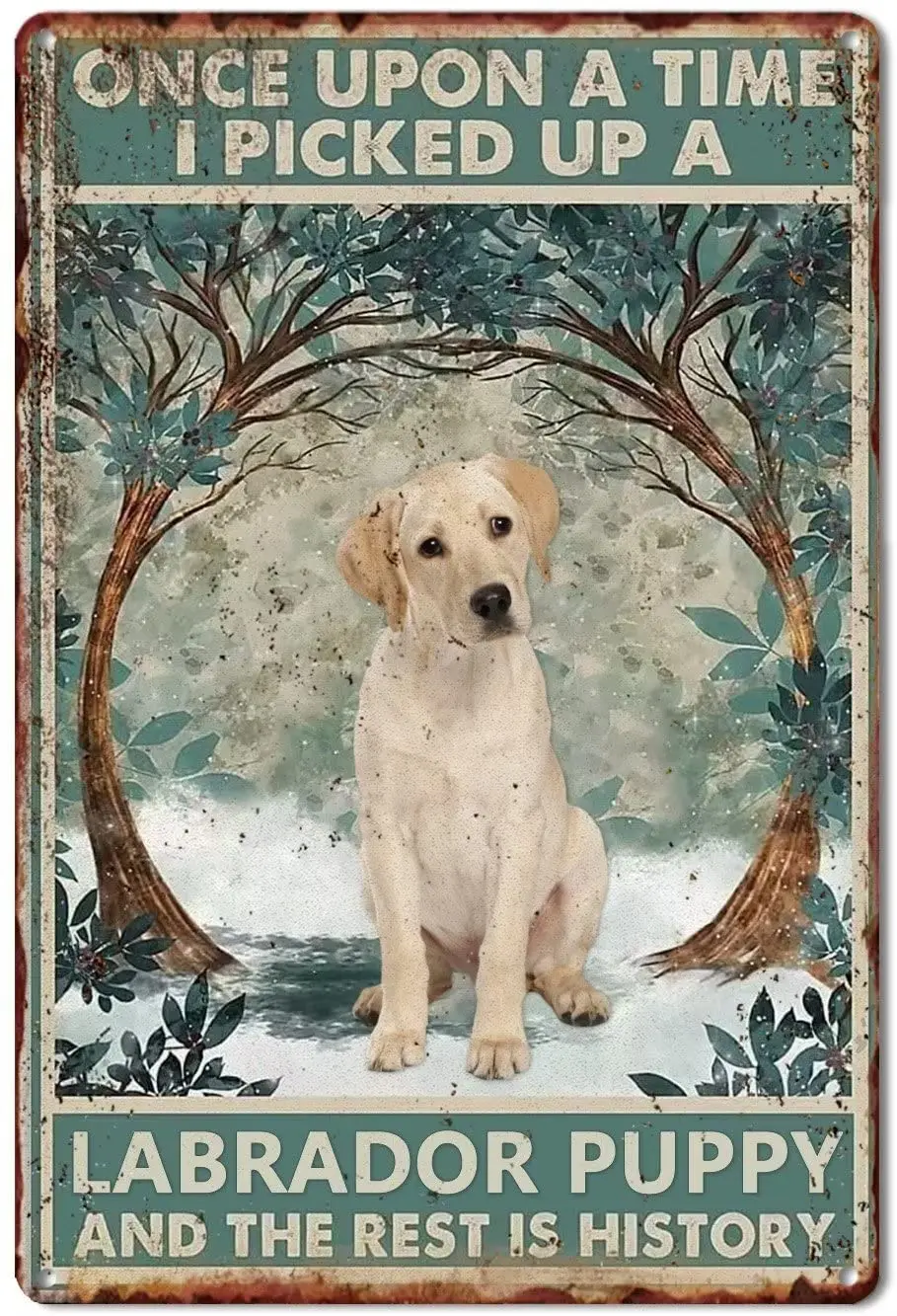 Pzecaru Labrador Puppy Metal Tin Sign Once Upon A Time I Picked Up A Labrador Puppy Poster Vintage Metal Plaque Gift For Bedroom