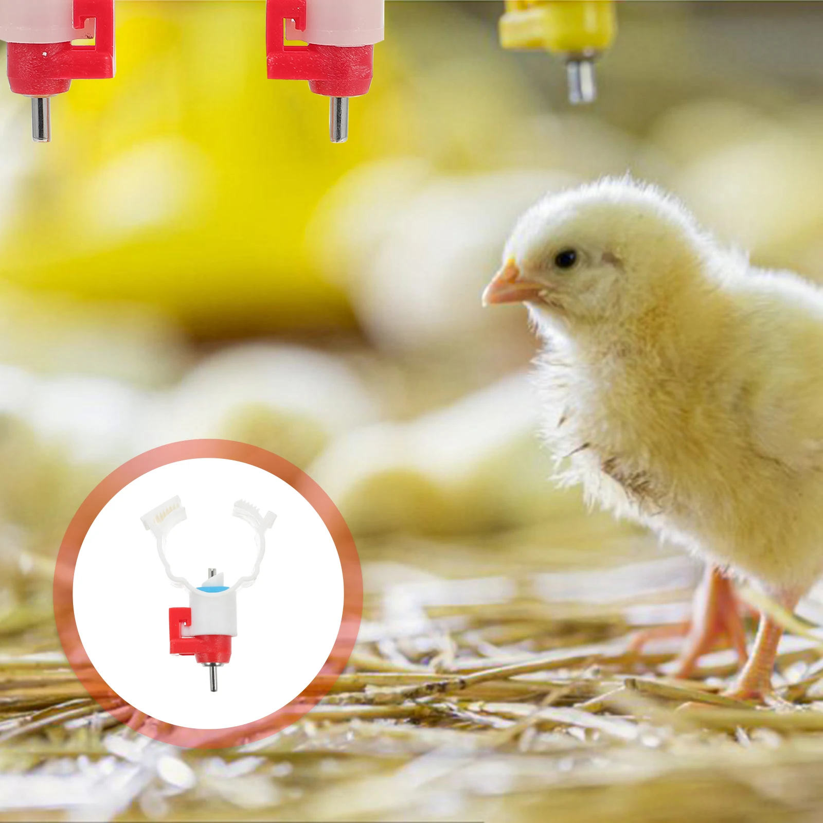 

20pcs Drinking Nipples Durable Easy Install Cleaning Chicken Duck Quail Poultry Feeder Water Pipe Hole Supply Pet Supplies