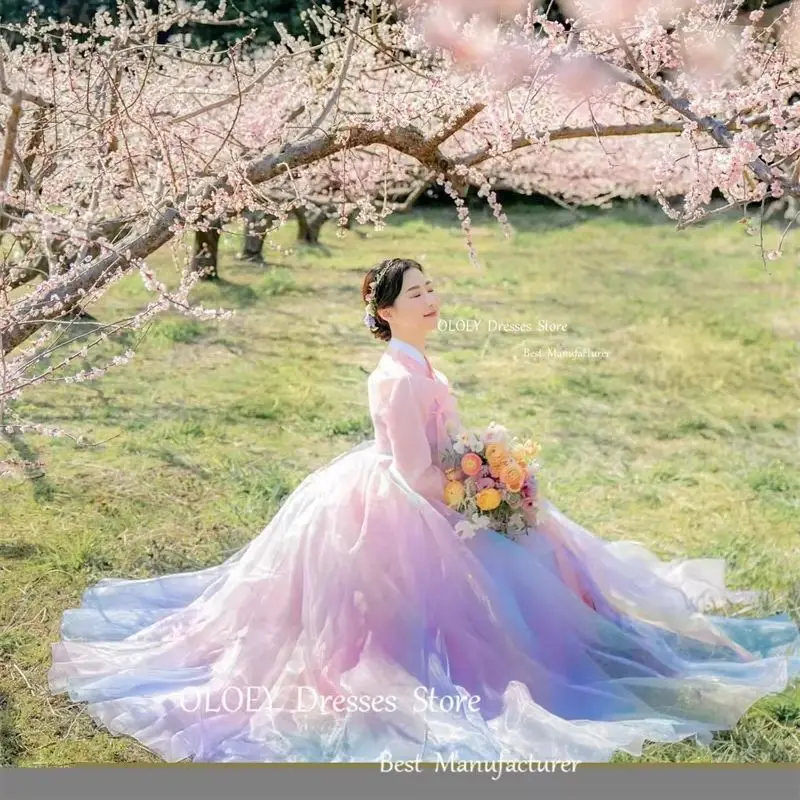 OLOEY Korea Women Formal Outfit Dresses Rainbow Tulle Long Sleeves Purple Pink Fairy Evening Gowns Photoshoot Customized