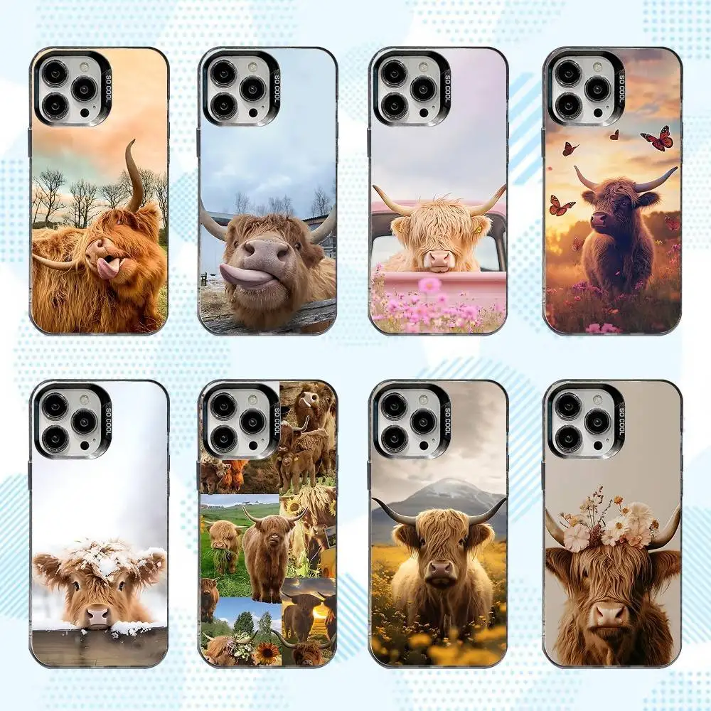 

Cute Highland Cattle Phone Case For iPhone 16,15,14,13,12,11,Mini,Pro,SE,MAX White Matte Shockproof Cover