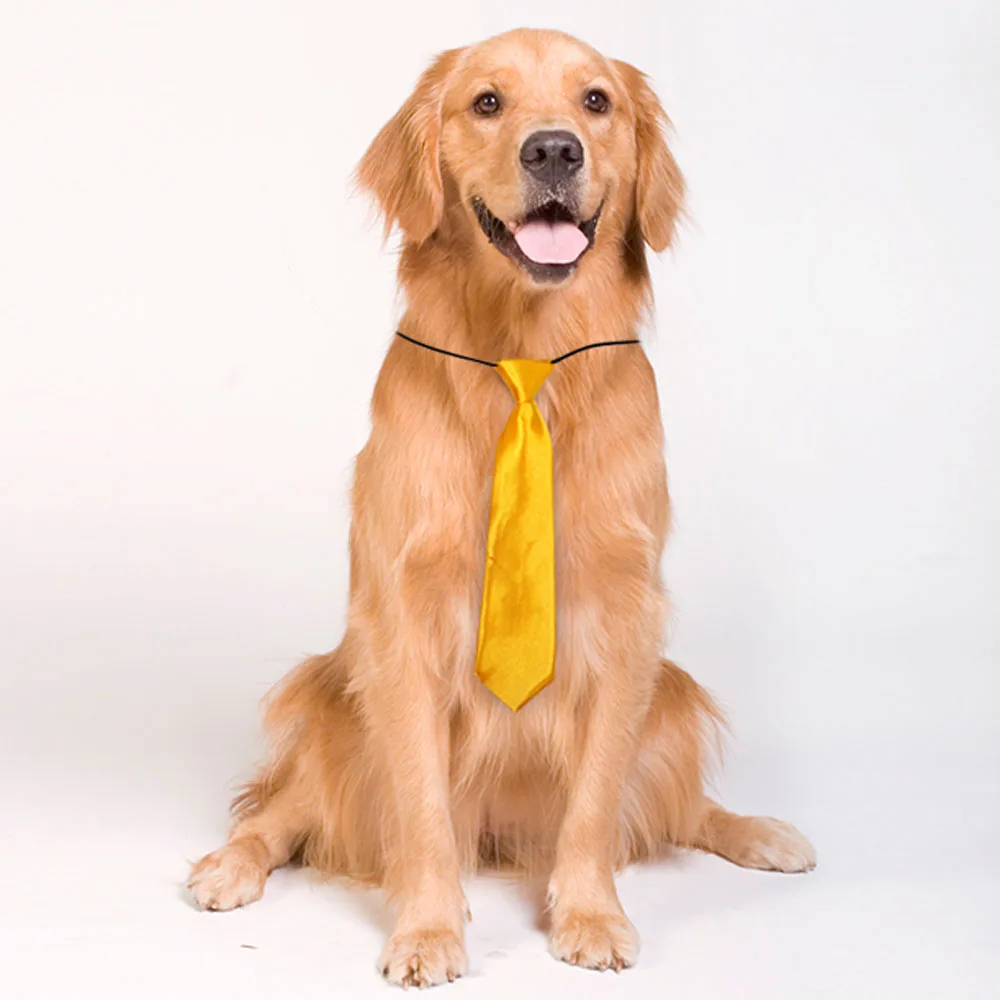 

10 шт., большие галстуки для собак, однотонные галстуки для больших собак «сделай сам», эластичная резинка, галстуки для собак, аксессуары для больших собак