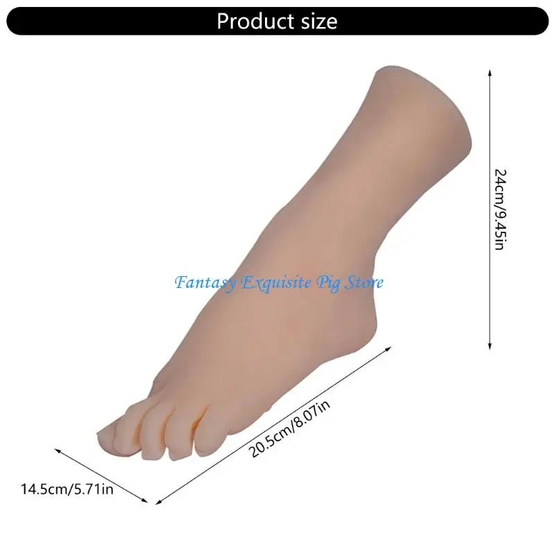 نموذج عرض قدم من درجة الاستوديو مع تفاصيل دقيقة للعظام، دعامة عرض محمولة لتعليم الفنون البصرية #6