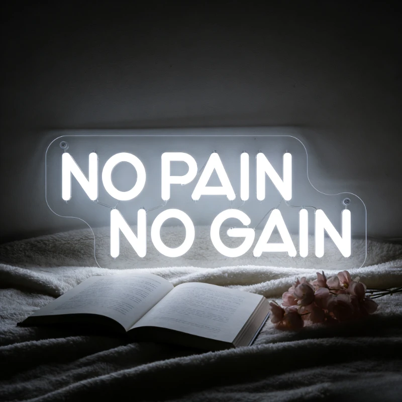 

No Pain No Gain Neon Sign LED USB Dimmable Wall Art Decor for Gym Fitness Studio Workout Gift Exercise Room Atmosphere Lighting