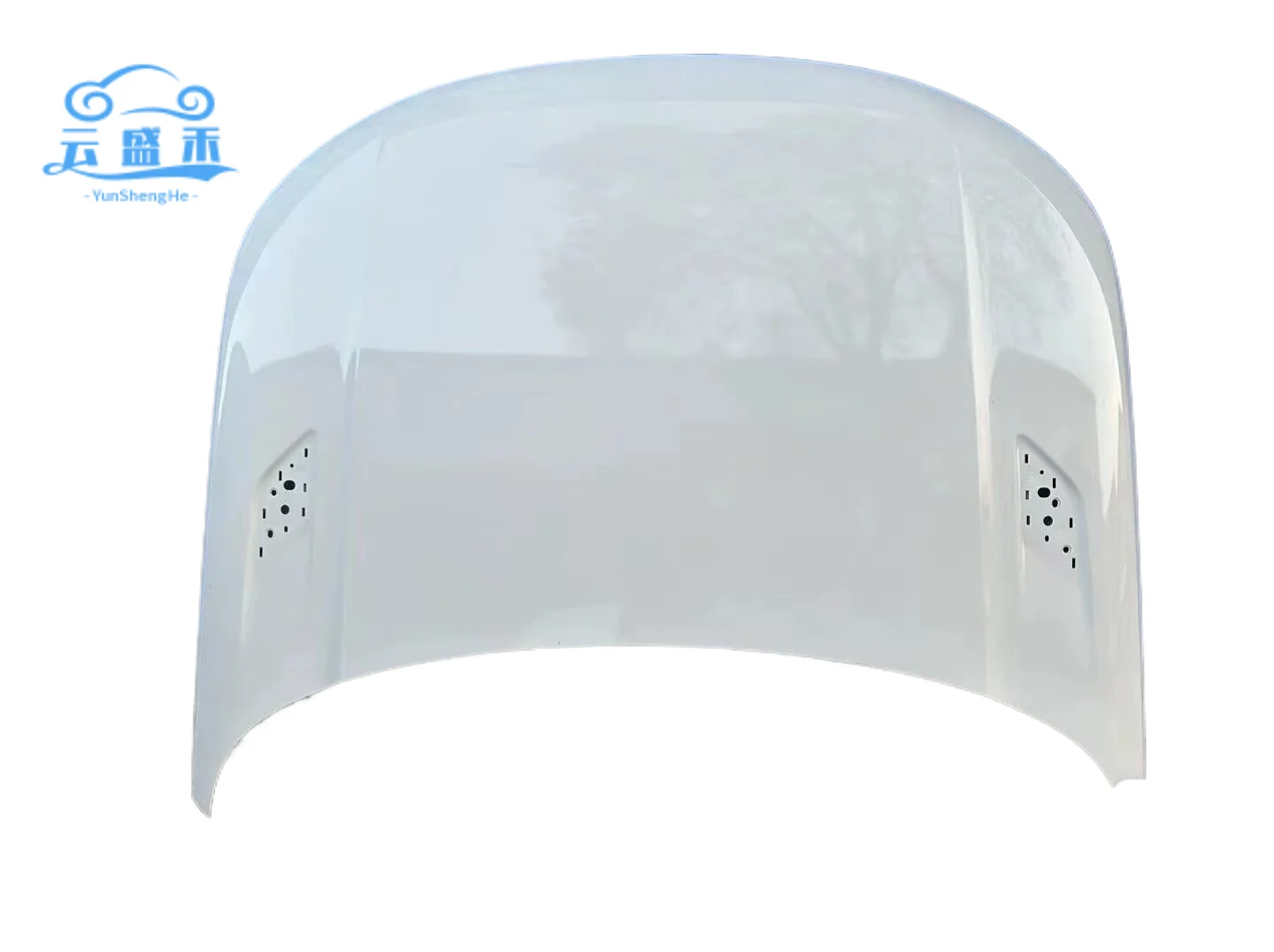 الصين المورد قطع غيار السيارات غطاء محرك السيارة غطاء محرك السيارة مناسبة لاند روفر 14-17 نمط رينج روفر سبورت غطاء السيارة #4