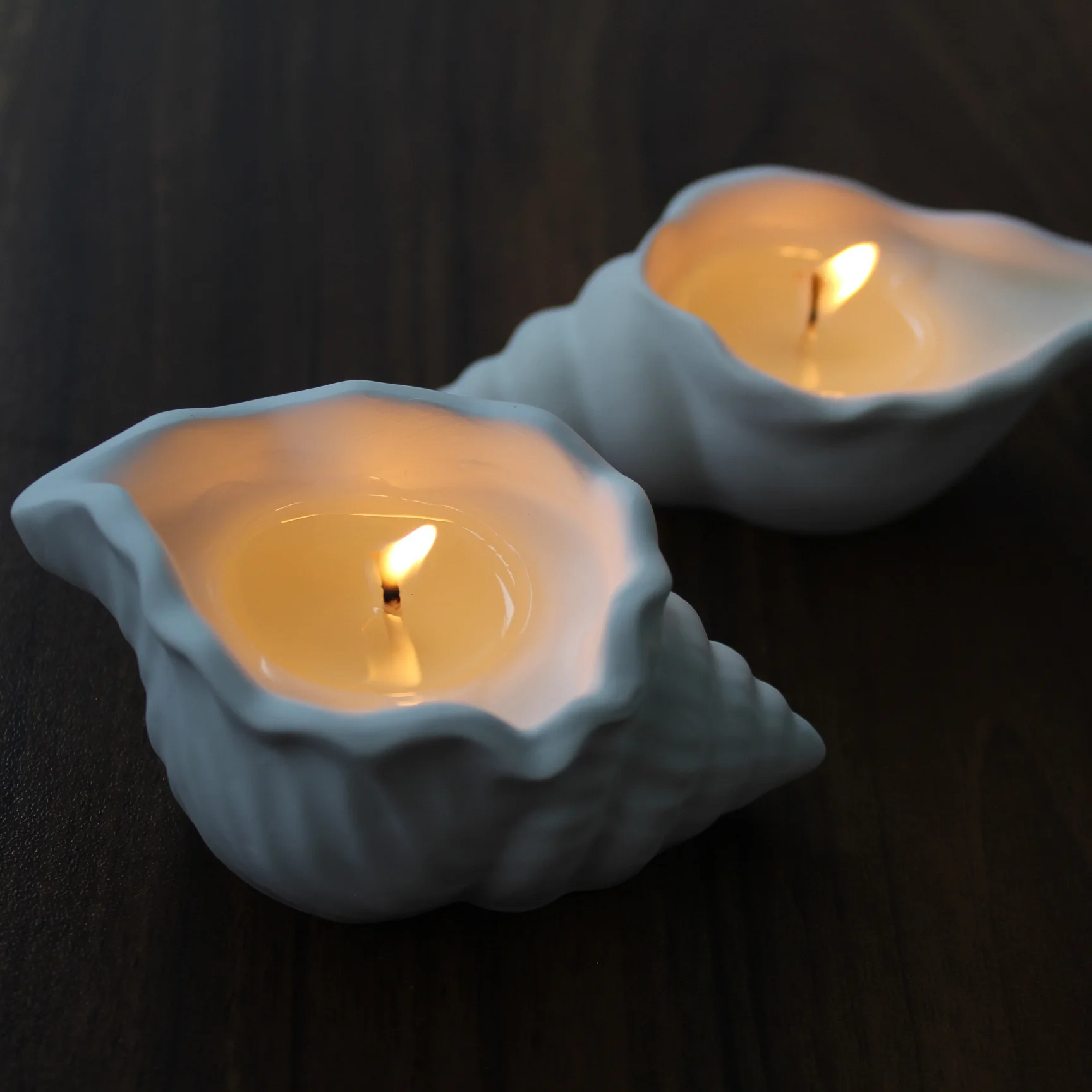 Shell Conch Candle Mold 4
