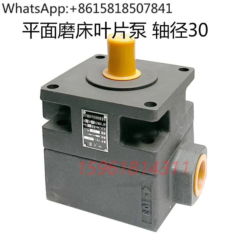 

7130H Surface Grinder Oil Pump Surface Grinder Vane Pump YB1-100 Grinder Accessories