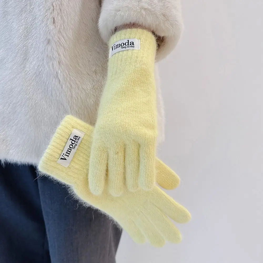 Solid Color Knitted Knitting Wool Gloves Ins Simple Warm Finger Gloves Korean Style Finger Touchscreen Women's Gloves