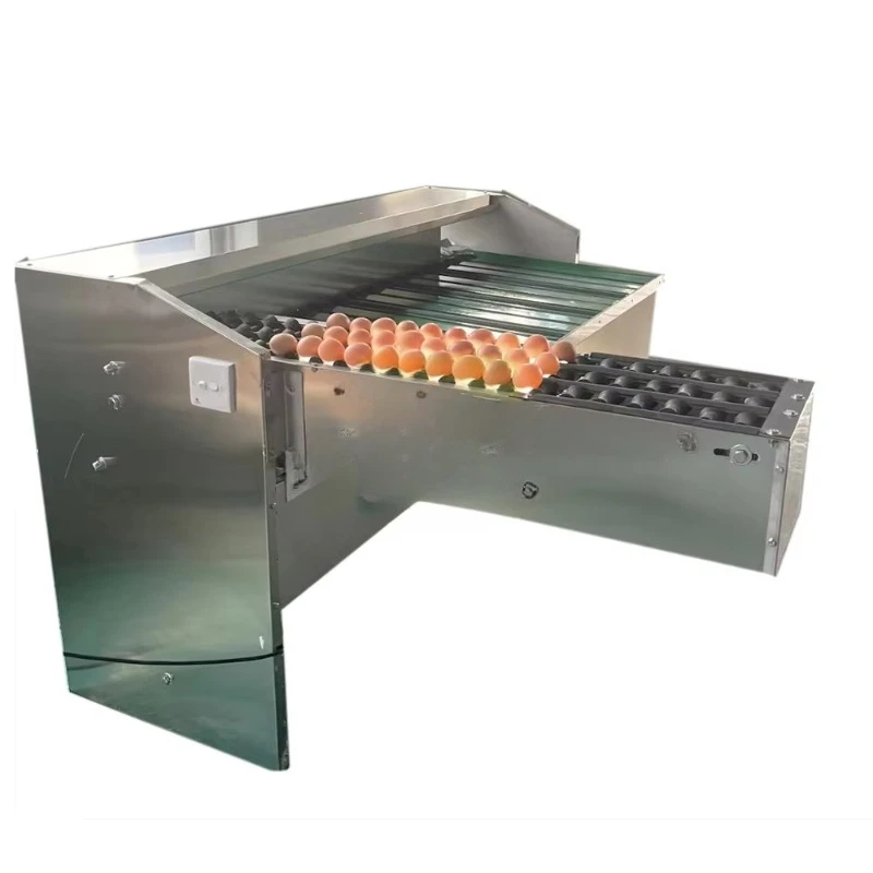 Customized Automatic Egg Grading Line Complete Industrial Egg Processing Equipment For Washing Drying Sorting Packing