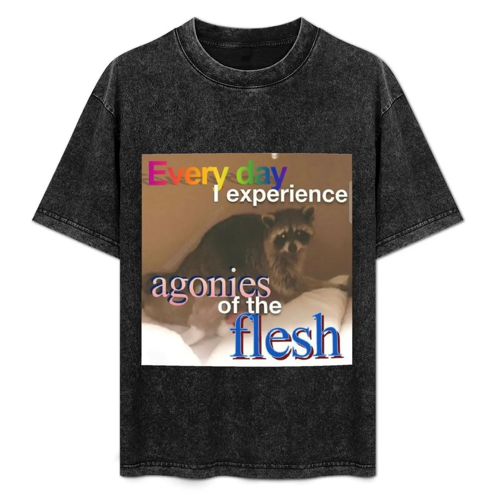 Racoon Meme: Every Day I Experience Agonies of the Flesh T-Shirt anime tshirt cheap stuff oversizeds black t-shirts for men