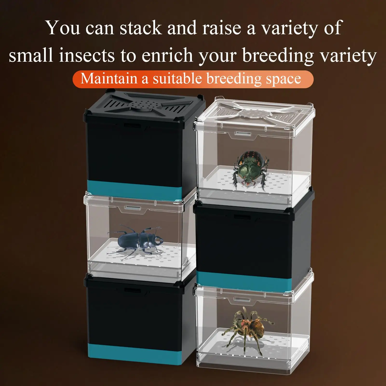 Spider Enclosure Feeding Box Ventilated Enclosure For Science Projects Apartment Educational Displays Home Camping Living Room