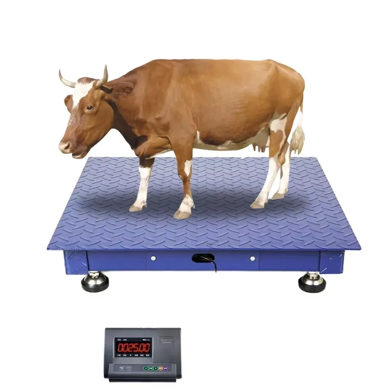 

High quality 500kg-5 tons carbon steel industrial electronic balance platform 5 tons cattle weighing scale floor weighing scale