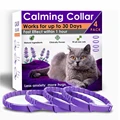 4Pc Cat 38cm-Purple
