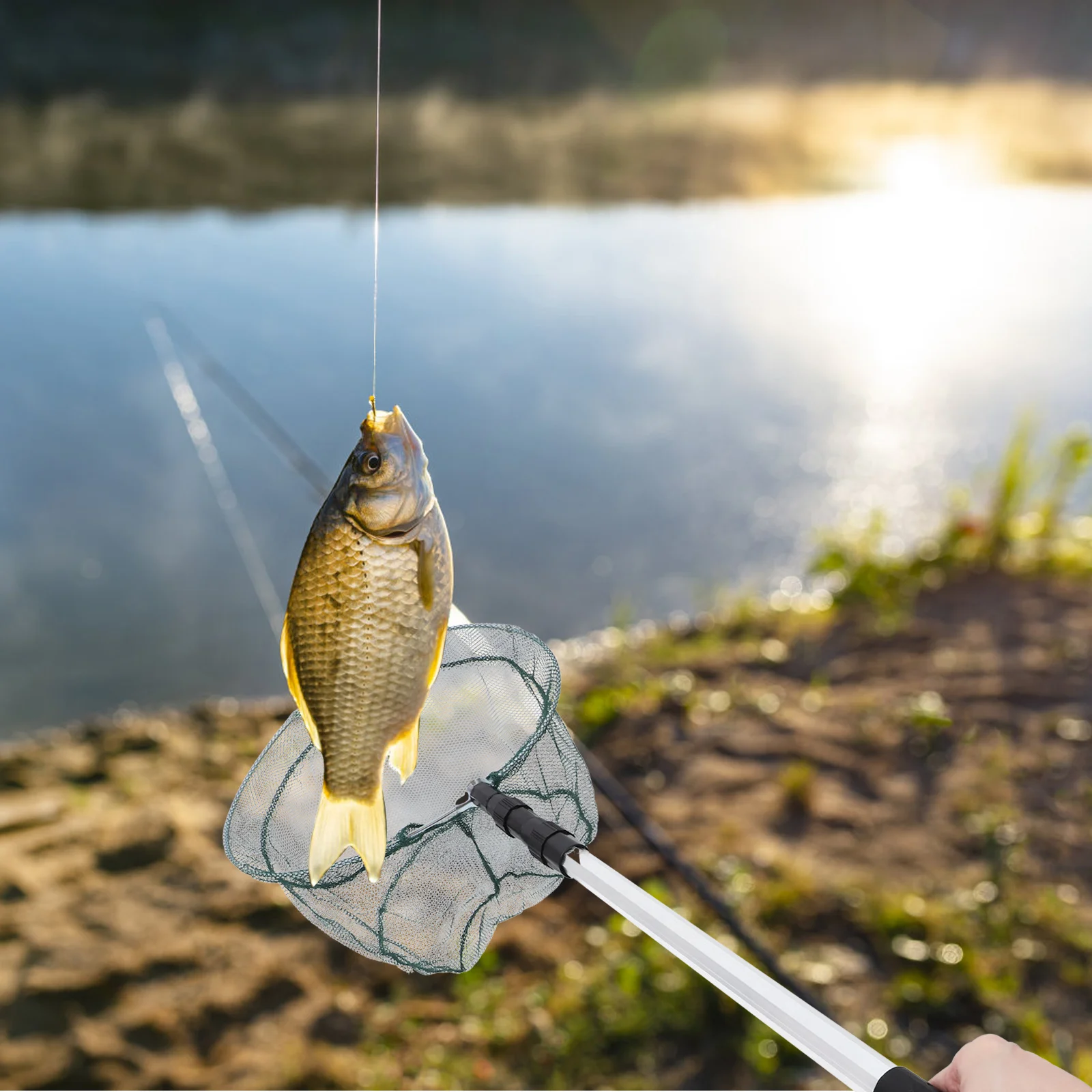 

Telescopic Fish Net 1.5M Aluminum Alloy Handle Foldable Aquarium Mesh Non-Absorbent Coating Safe For Fish Tank Pond Lake