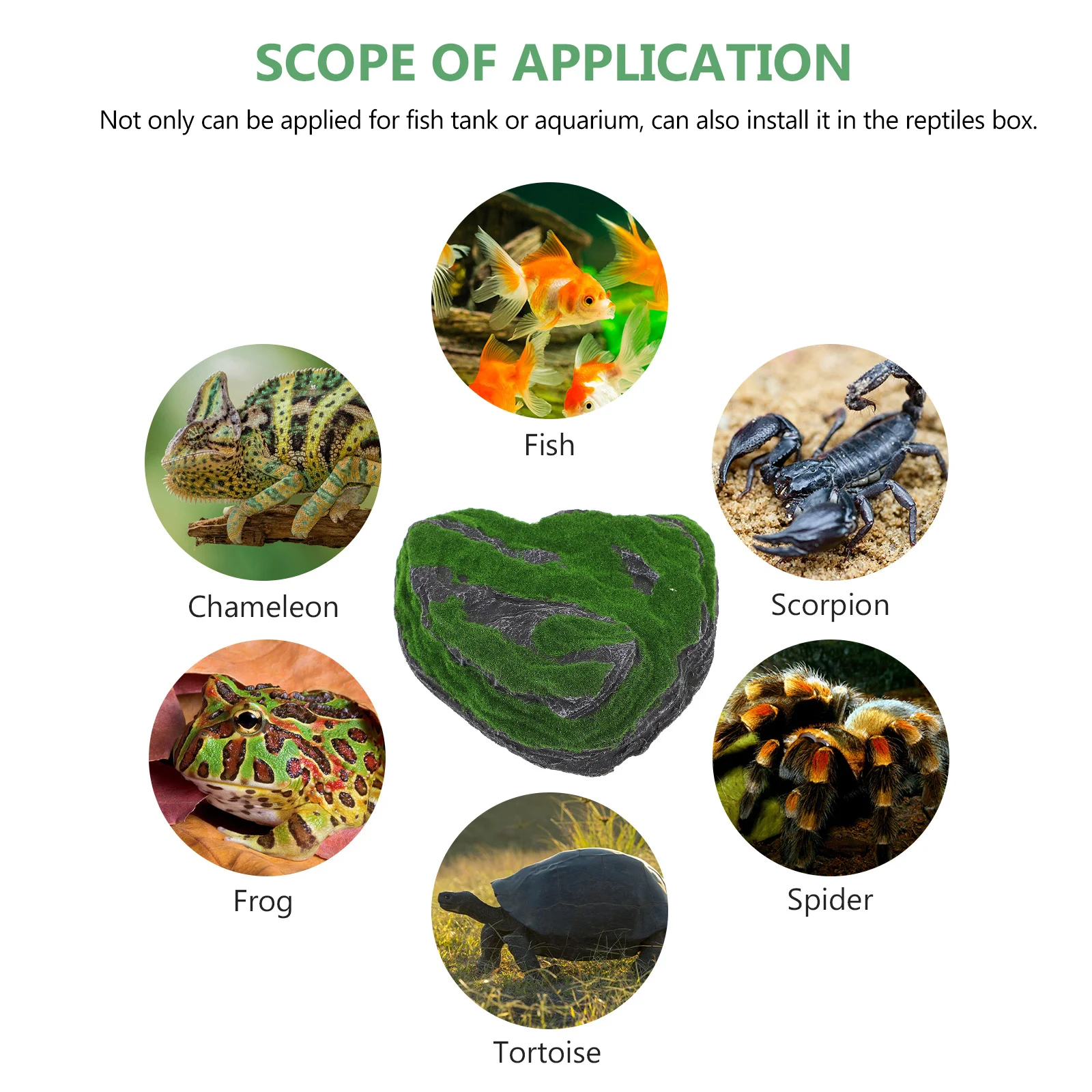 منصة الفرح السلحفاة الراتنج خزان الديكور السلحفاة الملحقات ملعب الزواحف دائم متعدد الوظائف محاكاة حية #6