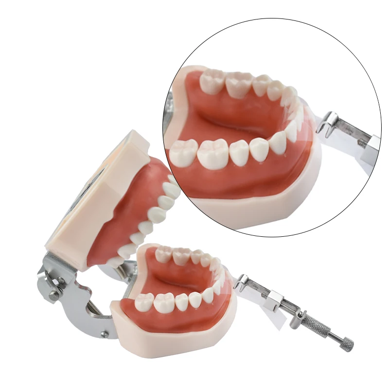 Dental Polyester Matrix Bands Matrices Dental Material Matrices Without Matrix Retainer Dental Products view 2