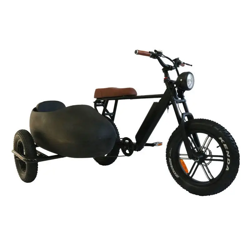 

Electric Bike with Sidecar 750W Brushless Motor 20-Inch Wide Tire Steel Frame Two 15ah Lithium Battery 3 Wheels 48v Side Bucket