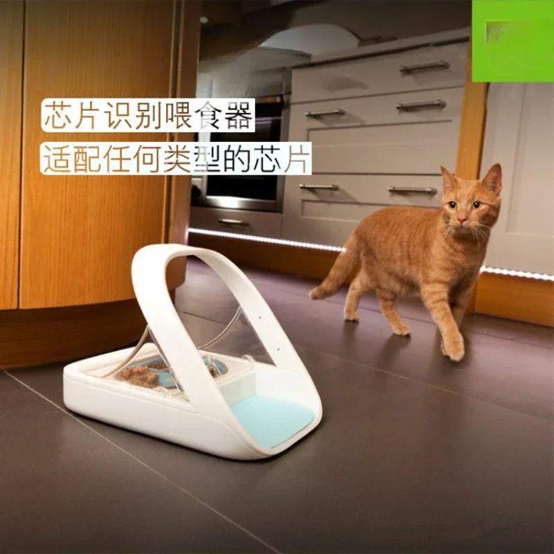 Surefeed Chip Recognition Sensing Multi Cat Automatic Feeder Pet Cat Bowl Puppy Wet Food Preservation and Insect Prevention