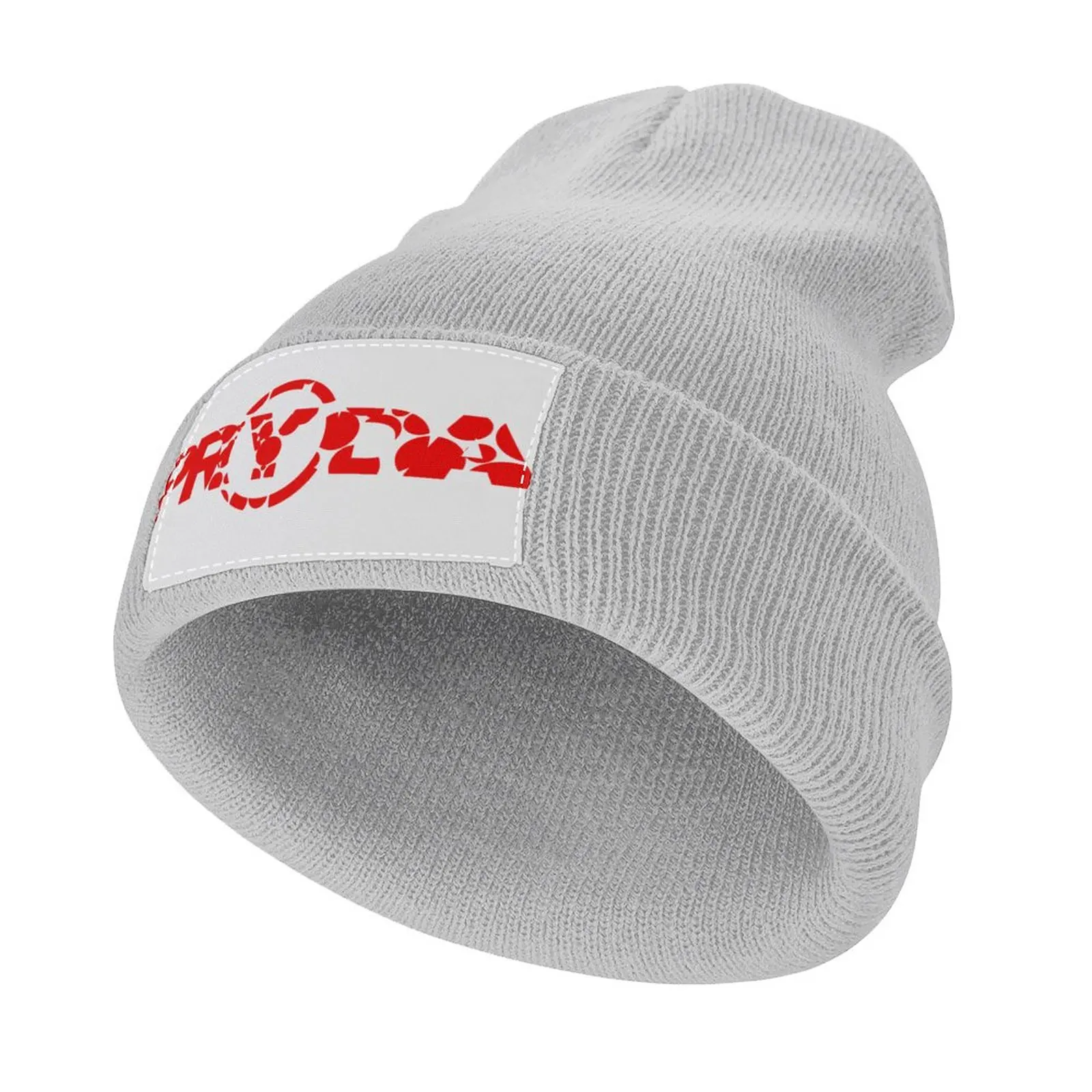 Eric Prydz Red Pryda logo Knitted Hat Fashion Beach black Hat For Man Women's