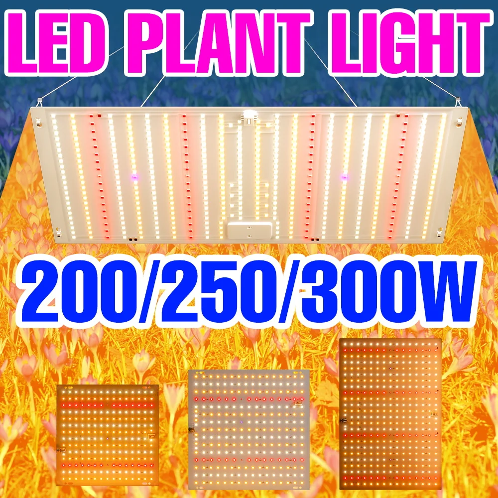 

Светодиодная лампа для растений 300 Вт, полный спектр, Quantum Board, УФ-излучение, для гидропоники, для выращивания суккулентов и кактусов в помещении