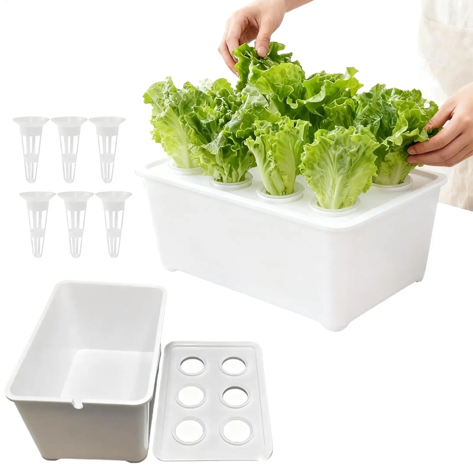 

Indoor Hydroponic System 6-Holes Seedling Kit Soilless Cultivation Box For Vegetables Flowers Fruits Indoor Outdoor Garden