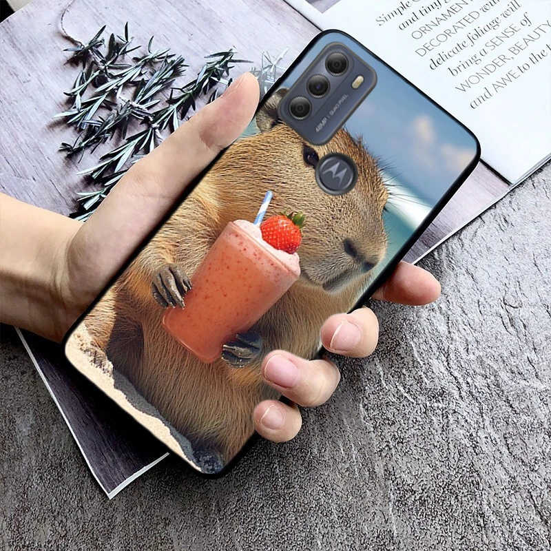 Animal Capybara Pho…