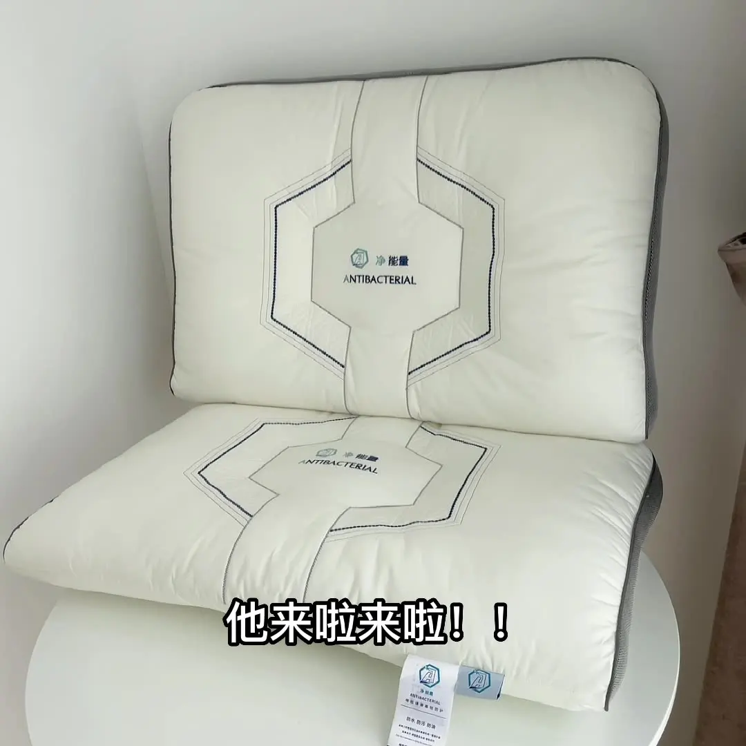 Class A Cotton Pillow Core Three Defense Net Energy Embroidery Washable Hotel